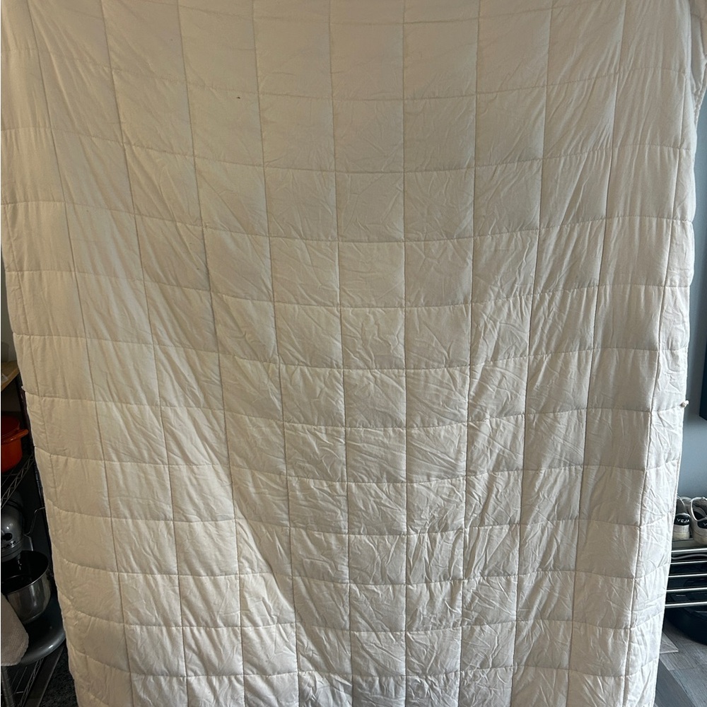 Luna Weighted Luxurious Cream Comforter